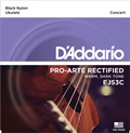 DaddarioEJ53C