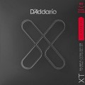 DaddarioXTCnormal