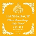 HannaBach5Yellow