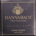 HannaBachCustomMediumTension