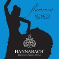 HannaBachFlamencoHigh