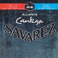 SavarezK8AlianceCantigaMix