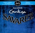 SavarezK9AlianceCantigaHighSet